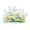 Image Not Available